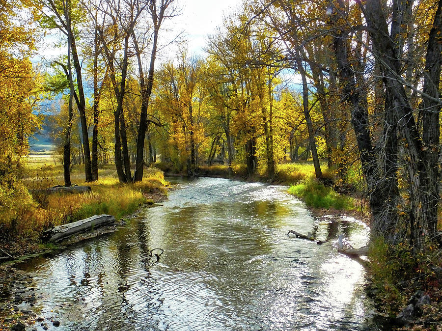 Little Blackfoot River Photograph by Mick Sullivan