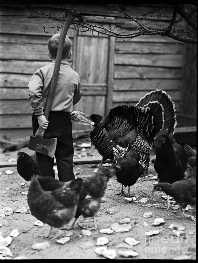 Little Boy Looking For Thanksgiving Photograph by Bettmann