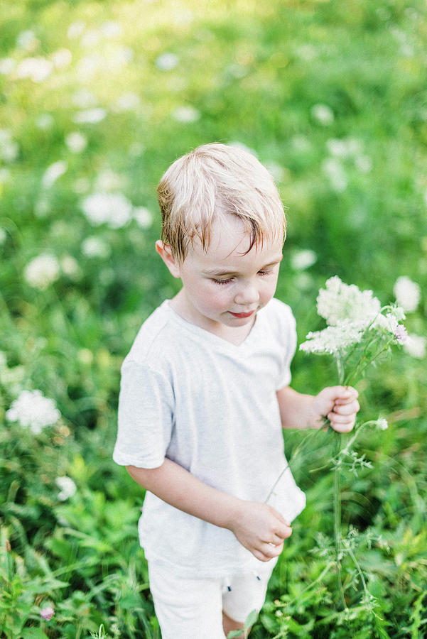 Little Boy Picking Wildflowers. Photograph by Cavan Images - Fine Art ...