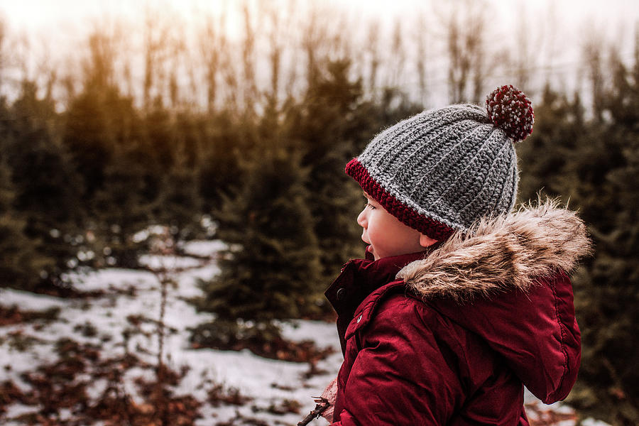 Little Boy Searching For His Perfect Christmas Tree On A Winter Day ...