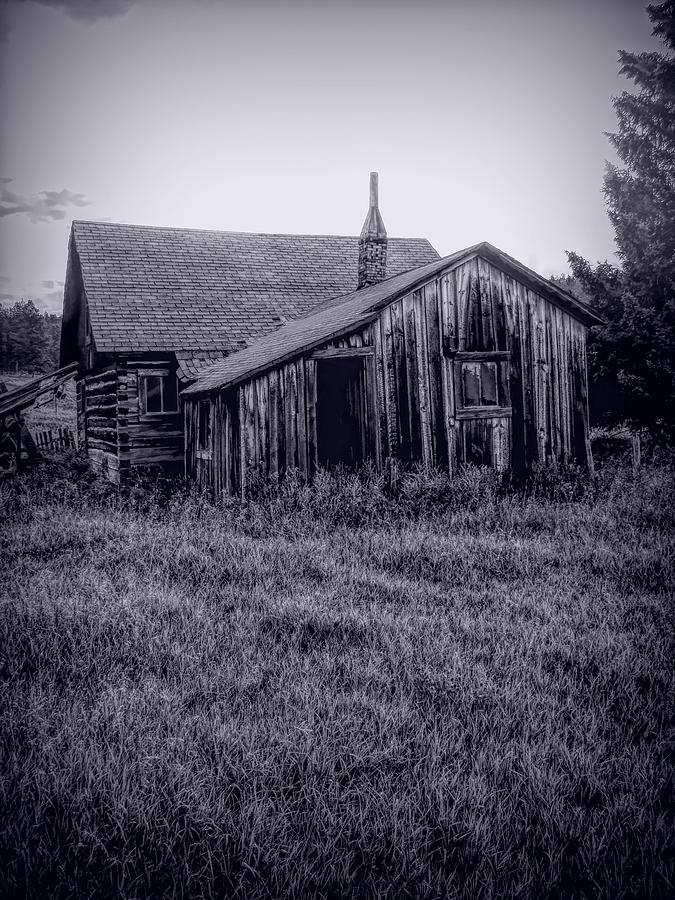 Little Cabin in Wyoming BW Photograph by Cathy Anderson