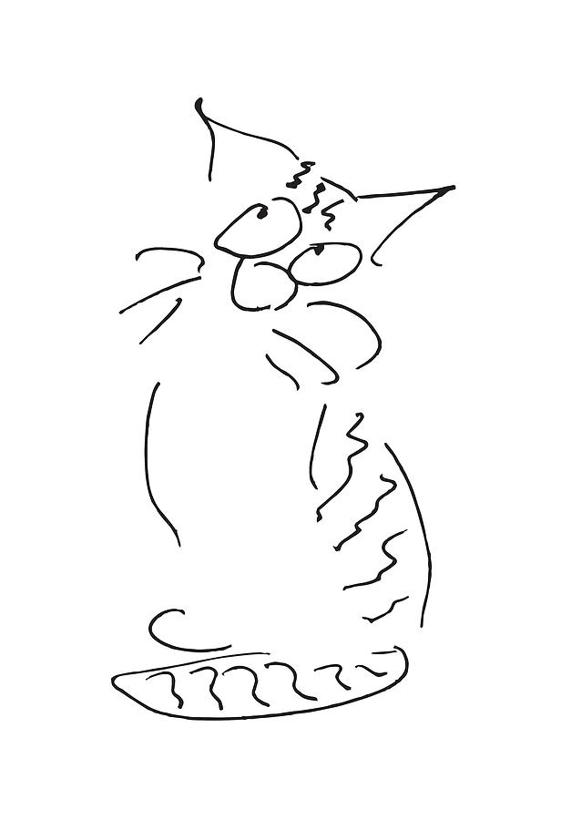 Little cat looking up Drawing by Barbara Roth