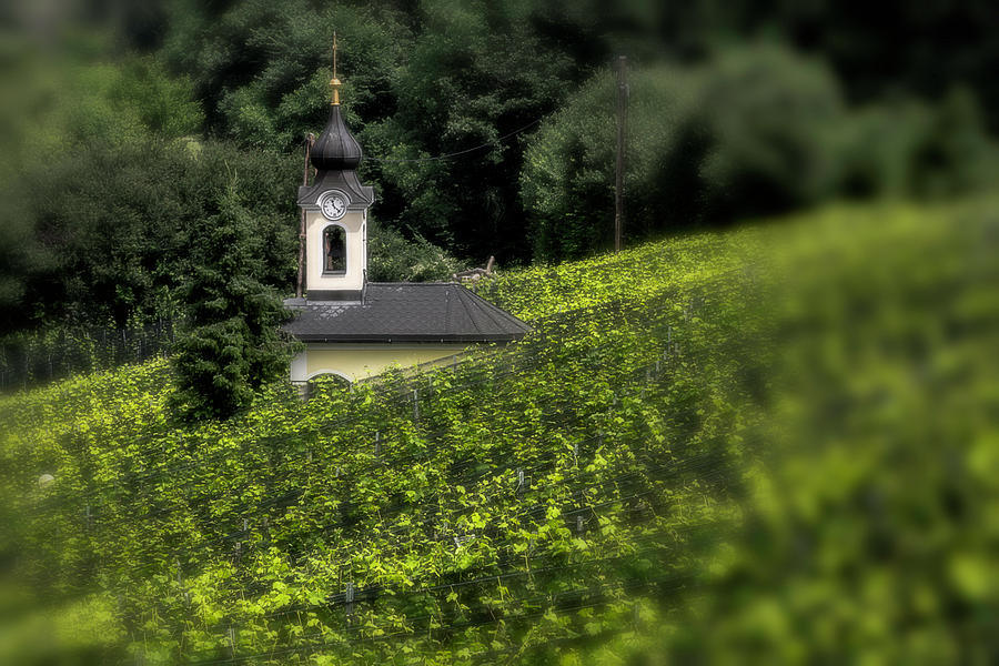 Little chapel in the vineyard Photograph by Wolfgang Stocker