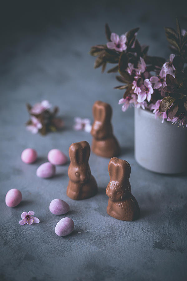Little Chocolate Easter Bunnies Photograph by Malgorzata Laniak