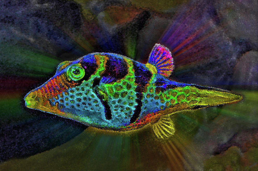 Little Colored Fish. Abyss. Digital Art