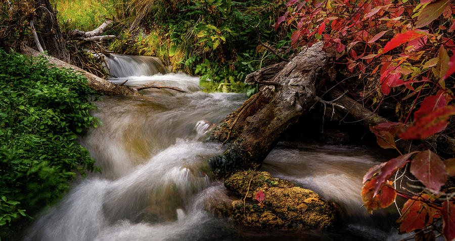 Little Deer Creek Autumn by TL Mair Little Deer Creek Autumn by TL Mair