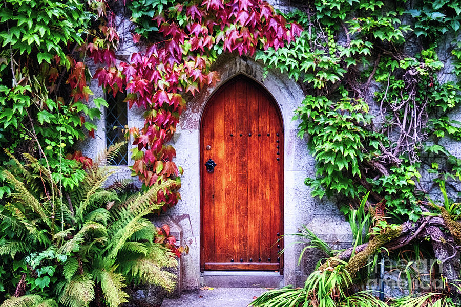 Little Door Surrounded by Ivy Photograph by George Oze