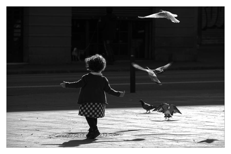 Street Photograph - Little Dove by Stefan Greitzke