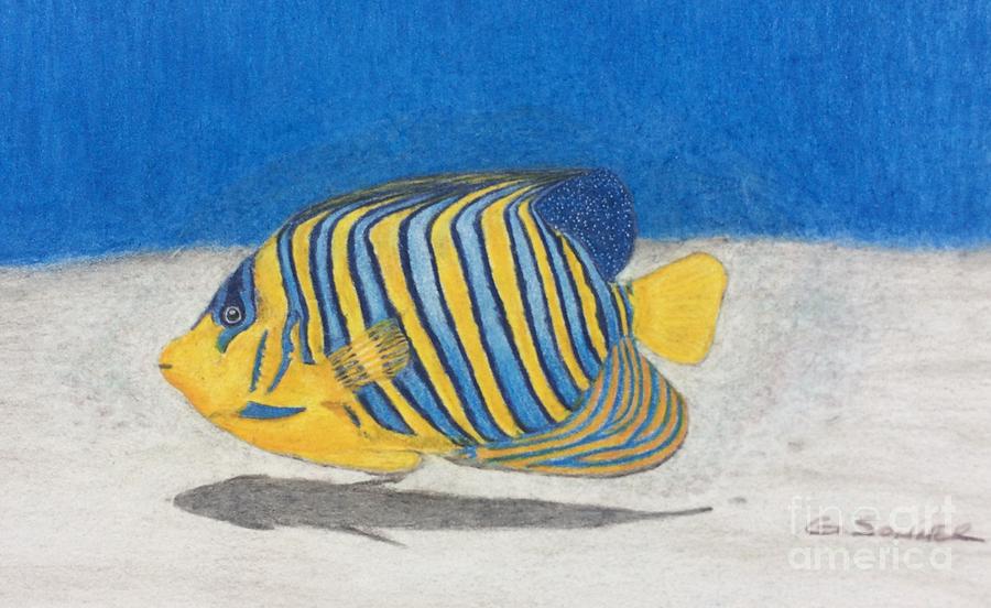Little Fish Drawing by George Sonner