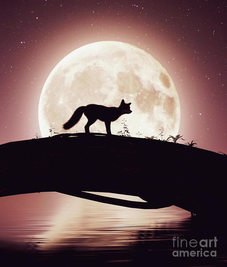 Little Fox Crossing A River On A Tree Trunk Under The Moonlight Mixed Media By Chainat Prachatree