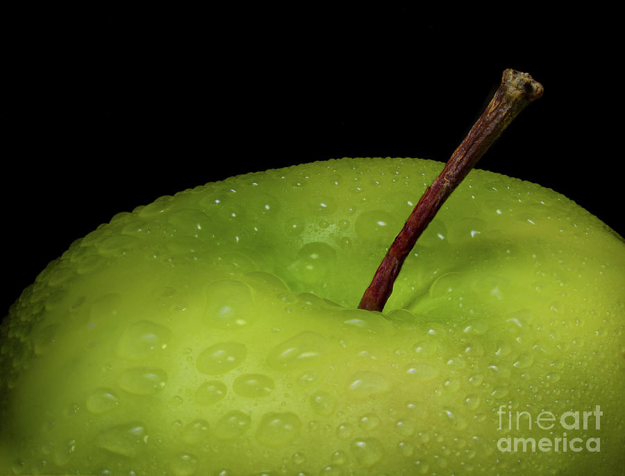 Little Green Apple Photograph by Mark Miller