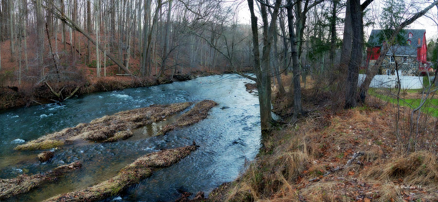 Tree Photograph - Little Gunpowder Falls And Mill by Brian Wallace