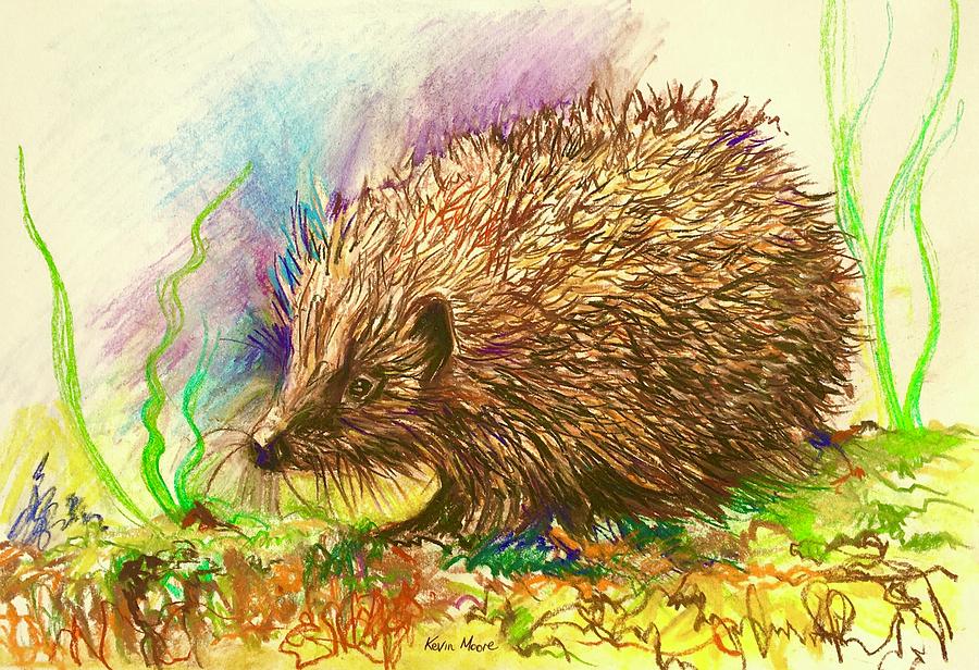 Little Hedgehog Pastel by Kevin Derek Moore