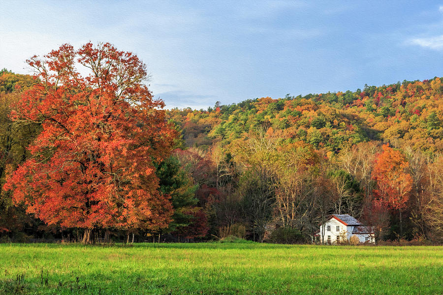 Little House In The Fall Photograph by Galloimages Online | Fine Art ...