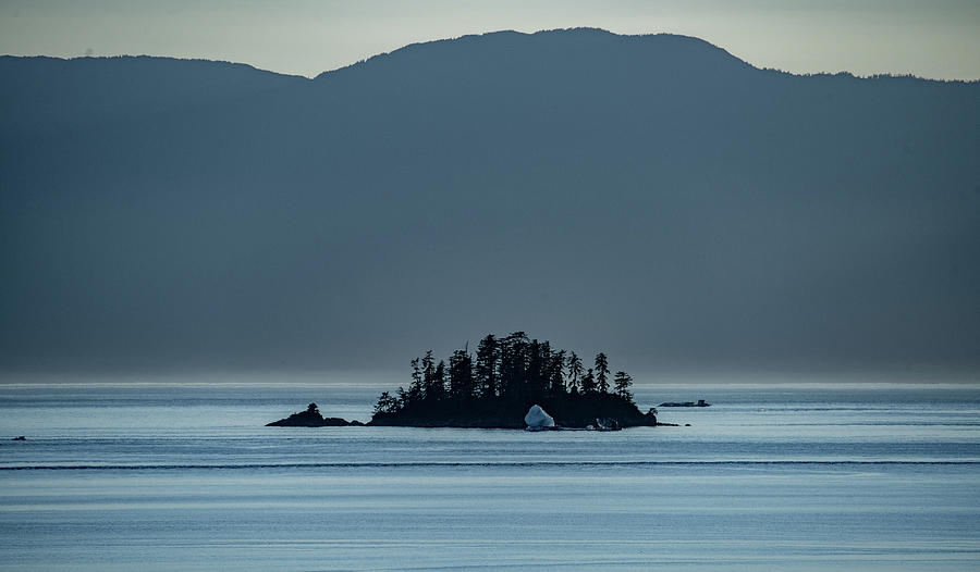 Lonely Little Island Photograph by Marcy Wielfaert