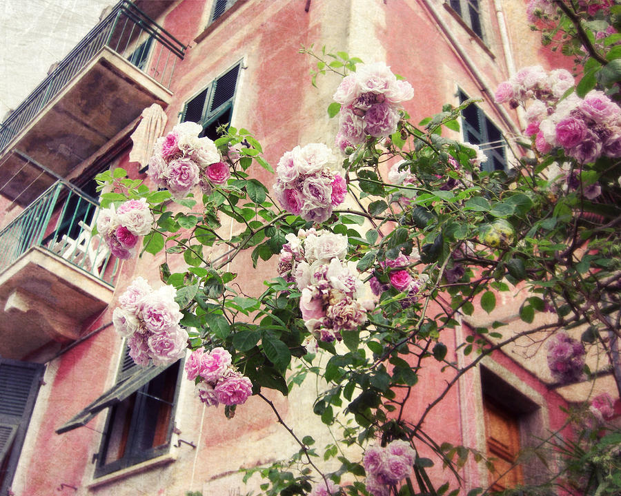 Little Italian Roses Photograph by Lupen Grainne