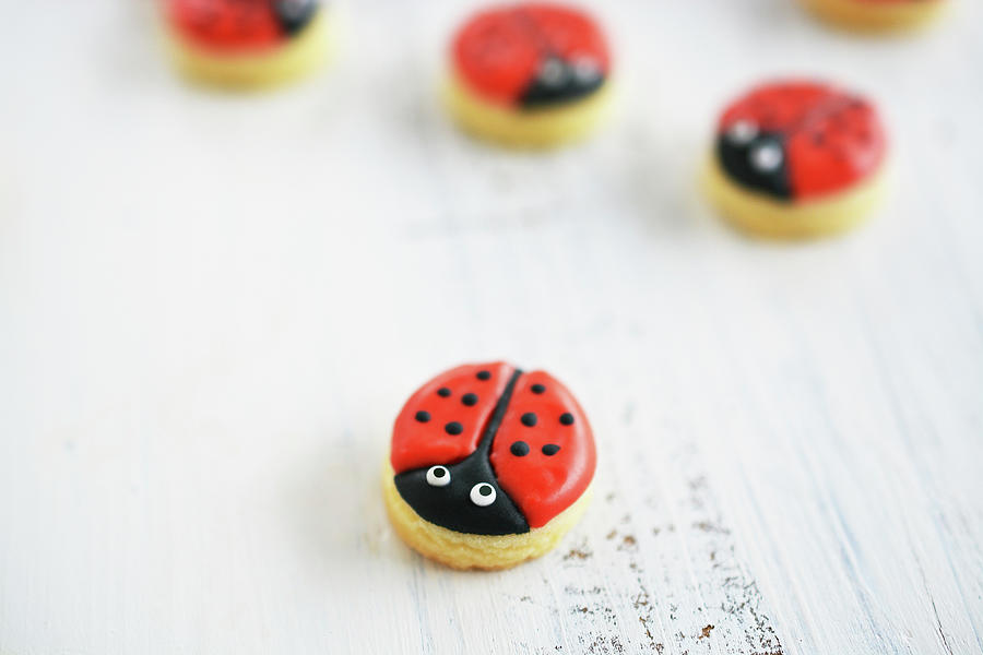 Little Ladybird Motif Cookies Photograph by Mariola Streim
