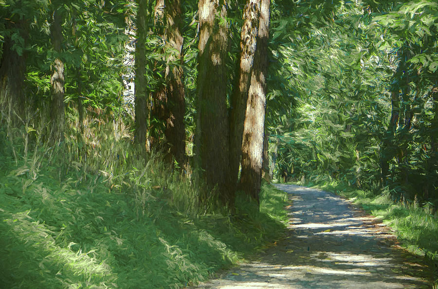 Little Lehigh Parkway Path by Jason Fink Little Lehigh Parkway Path by Jason Fink