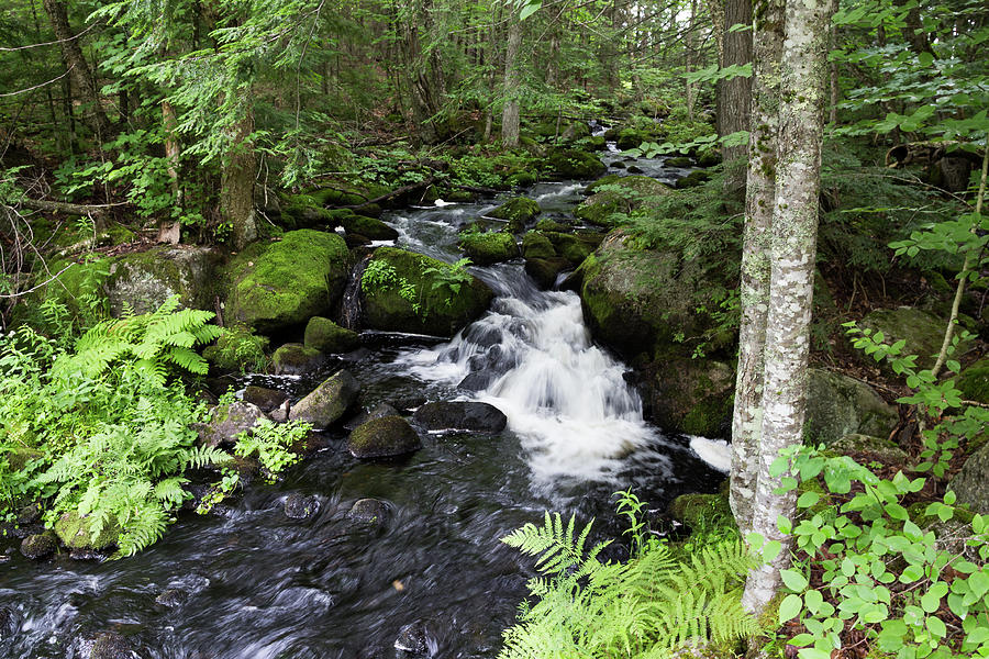 Little Maine Waterfall Photograph by Kirkodd Photography Of New England