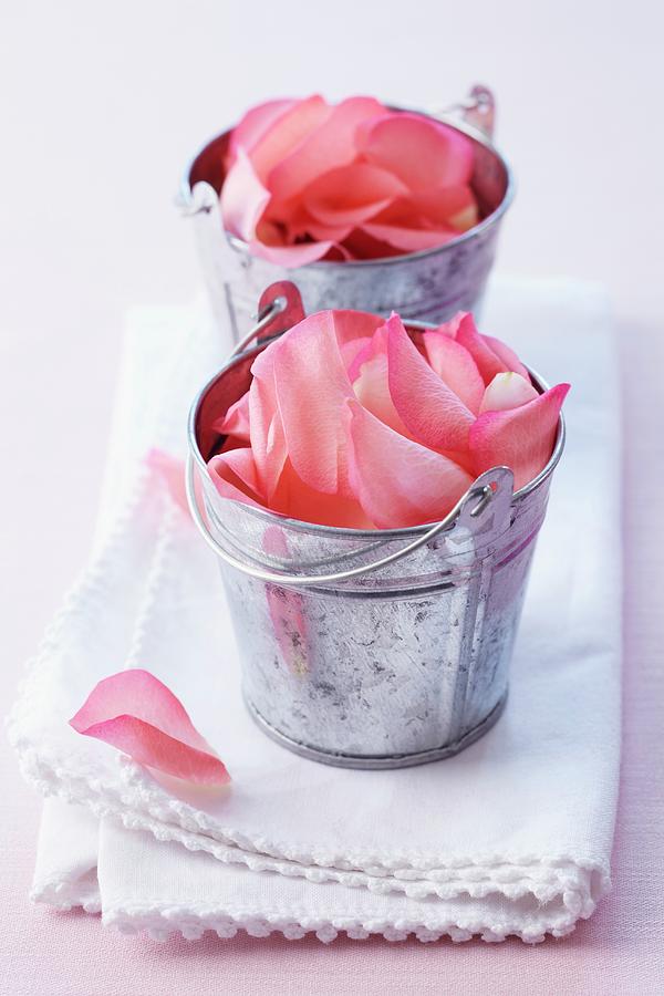 Little Metal Buckets Filled With Rose Petals Photograph by Franziska Taube