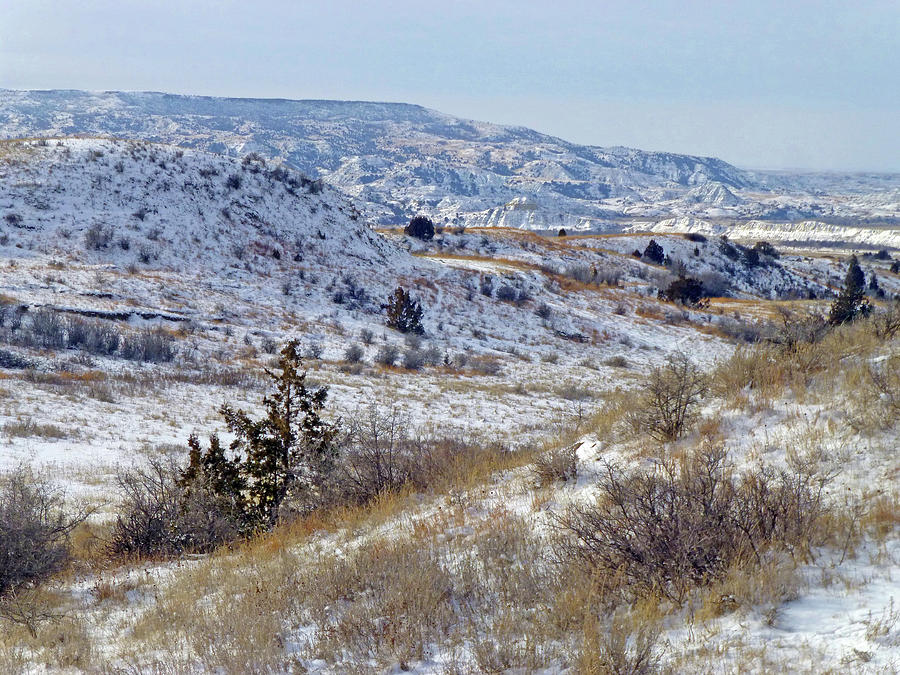 Little Missouri Winter Prairie Photograph by Cris Fulton