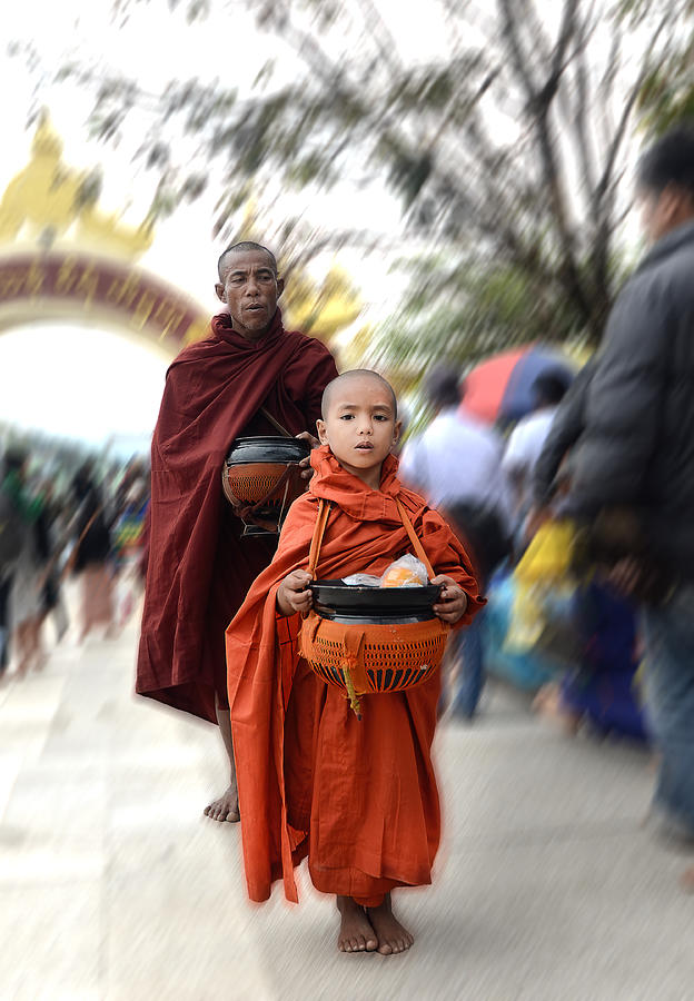 Little Monk Photograph by Eden Antho