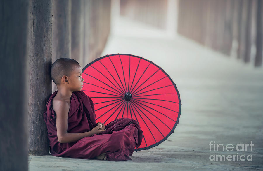 Little Myanmar Monk Sitting In Monastery Photograph by Std