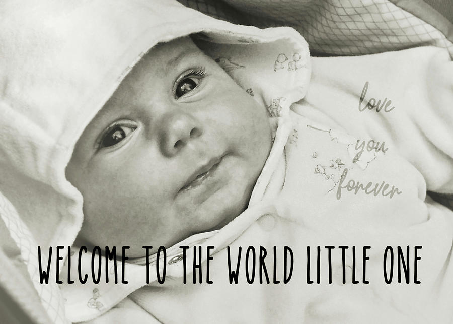 LITTLE ONE quote Photograph by JAMART Photography