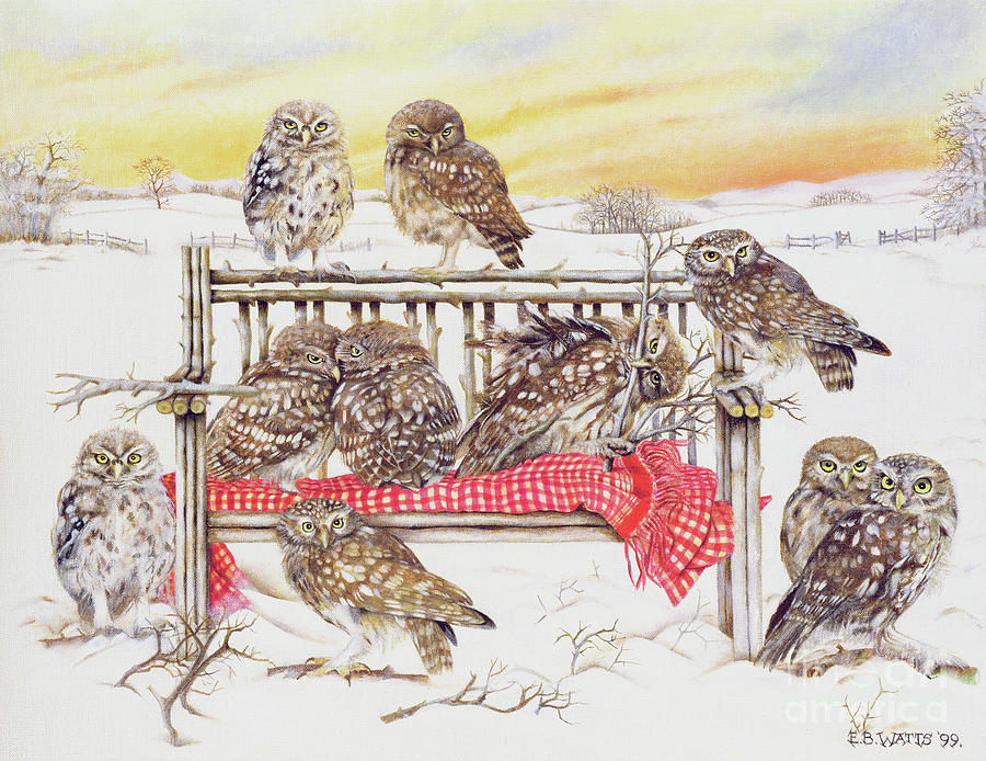 Little Owls On Twig Bench Painting by Eb Watts