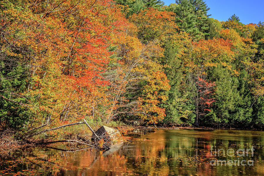 Little Pond Grafton New Hampshire Photograph by Edward Fielding