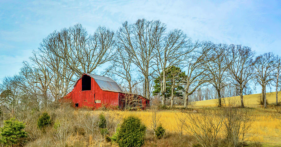 Little Red Barn Photograph by Marcy Wielfaert