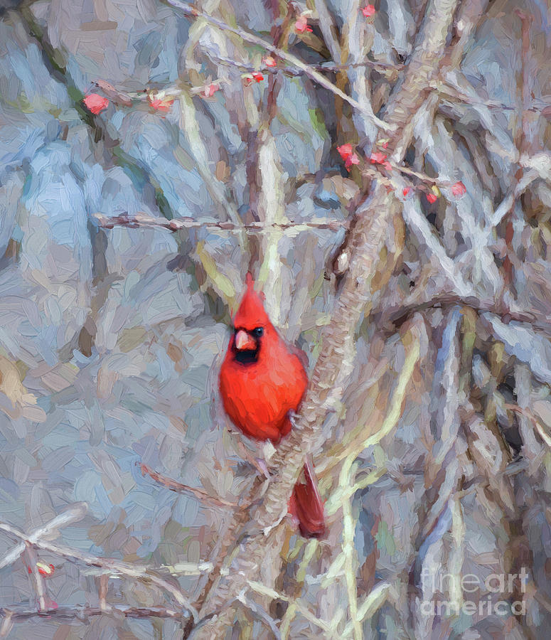 Little Red Bird Blessings  Photograph by Kerri Farley