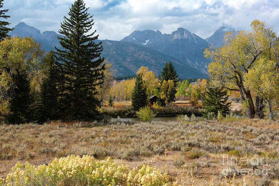 Little Red Cabin Grand Tetons Photograph By Jackie Follett