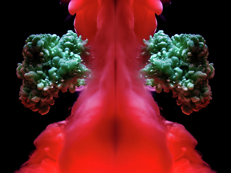 Little Red Dragon Abstract Photograph by Eugene Campbell