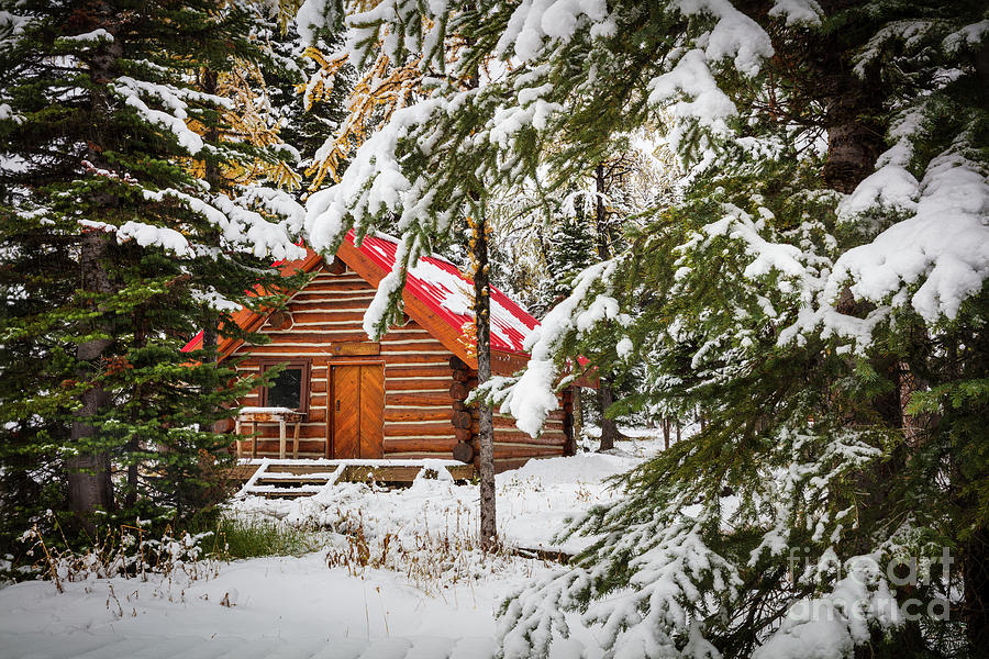 Little Red Riding Hood Cabin Photograph by Inge Johnsson
