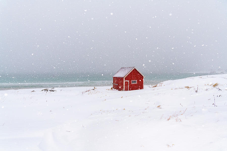 Little Red Shack Lofoten Island Norway Photograph by Tibor Vari