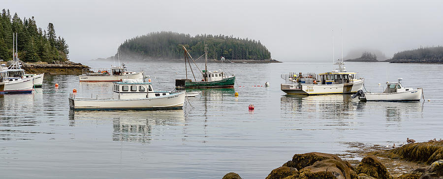 Little River Island View From Cutler Harbor Photograph by Marty Saccone