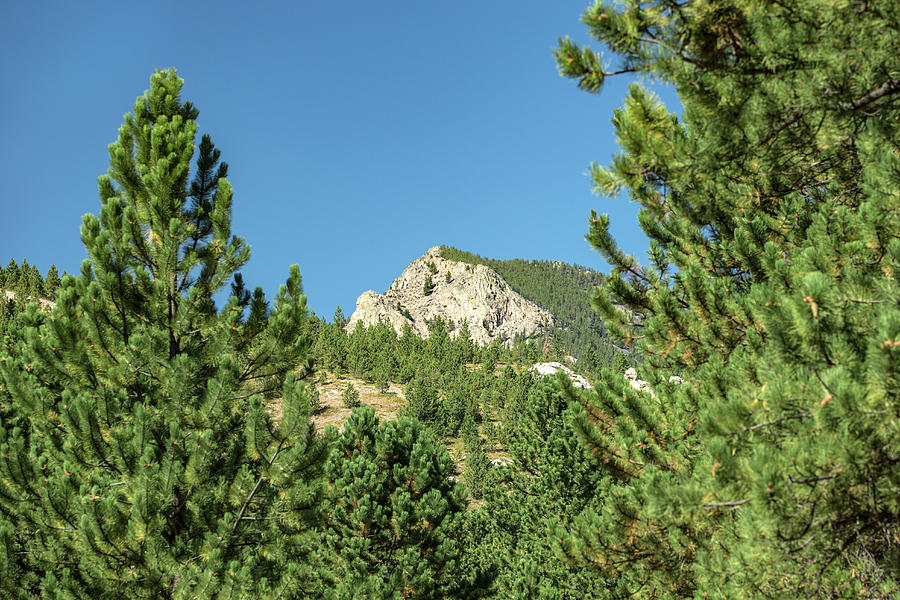 Little Rocky Mountain Photograph by Todd Klassy