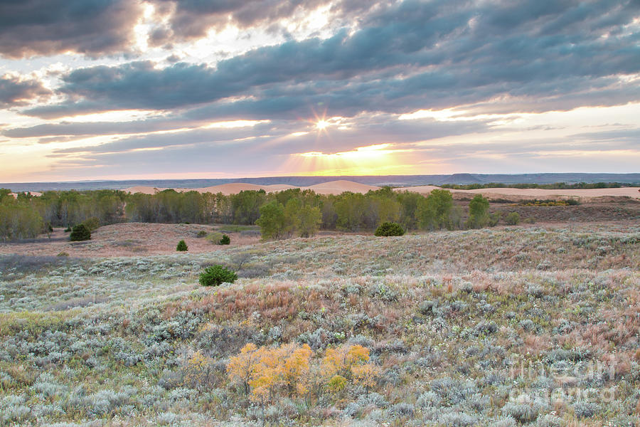 Oklahoma's Little Sahara: Where the Wind Whispers and the Sand Dunes Roar