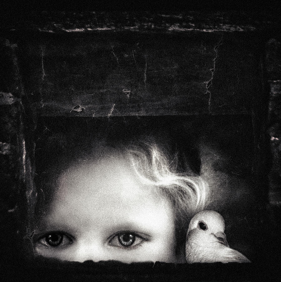 Pigeon Photograph - Little Secrets by Piet Flour