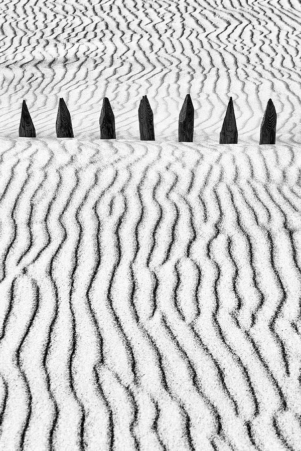 Black And White Photograph - Little Silver Silence by Paulo Abrantes