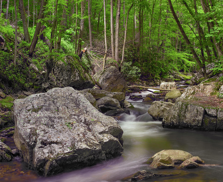 Little Stony Creek, Jefferson Nf, Virginia Photograph by Tim Fitzharris