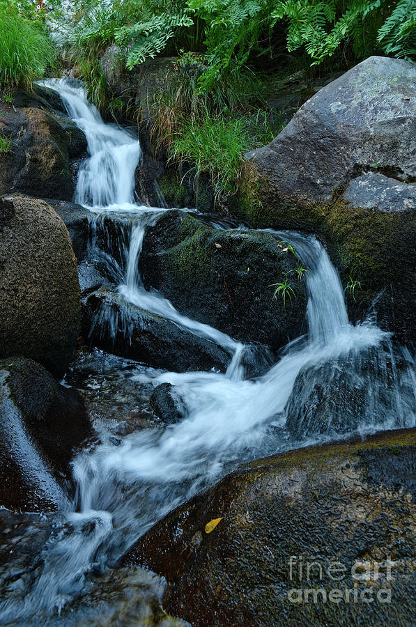 Little waterfall by Gralheira river in Carvalhais by Angelo DeVal Little waterfall by Gralheira river in Carvalhais by Angelo DeVal