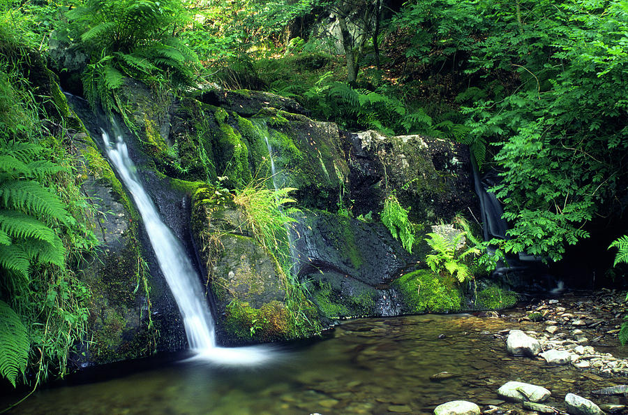 Little Welsh waterfall Photograph by Seeables Visual Arts