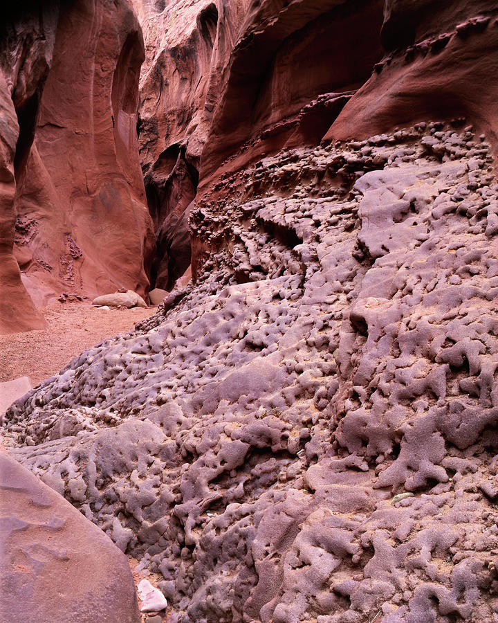 Little Wild Horse Canyon #2 Photograph by Tom Daniel