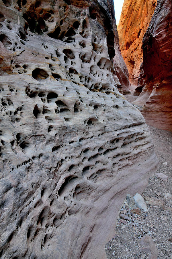Little Wild Horse Canyon Walls Photograph by Ray Mathis