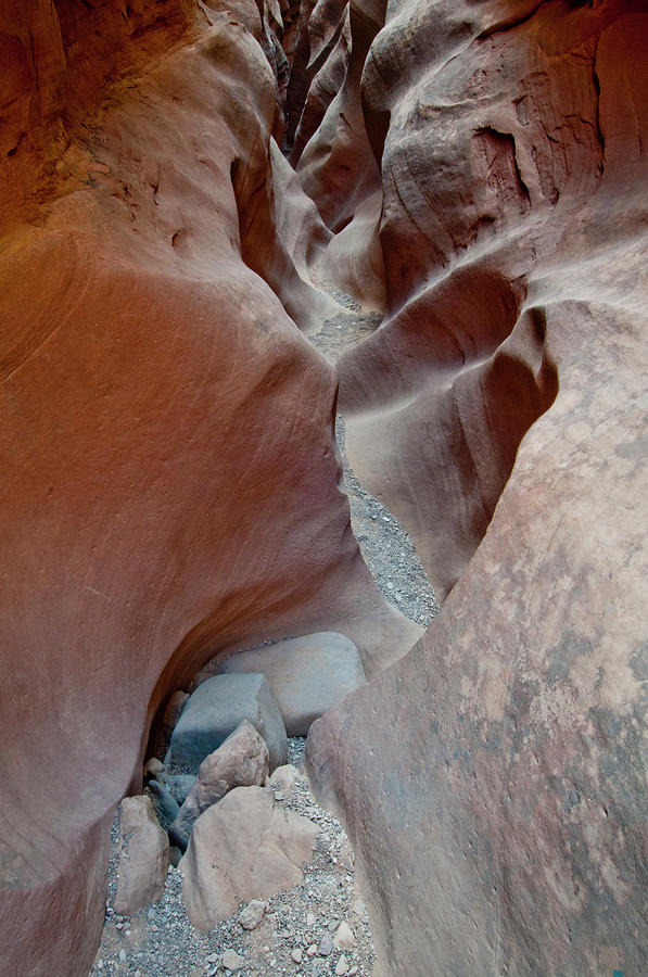 Little Wildhorse Canyon Photograph by William Mullins