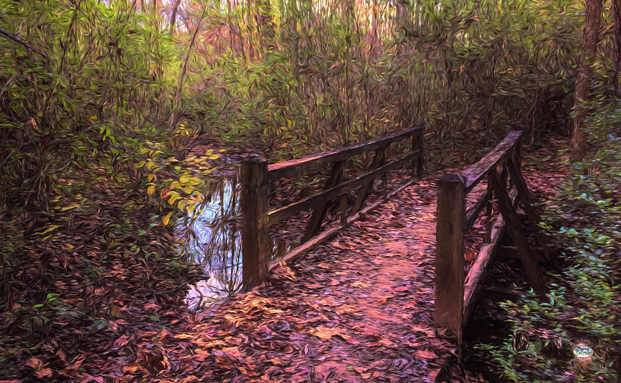 Little Wooden Bridge in the Forest Photograph by Daniel Eskridge