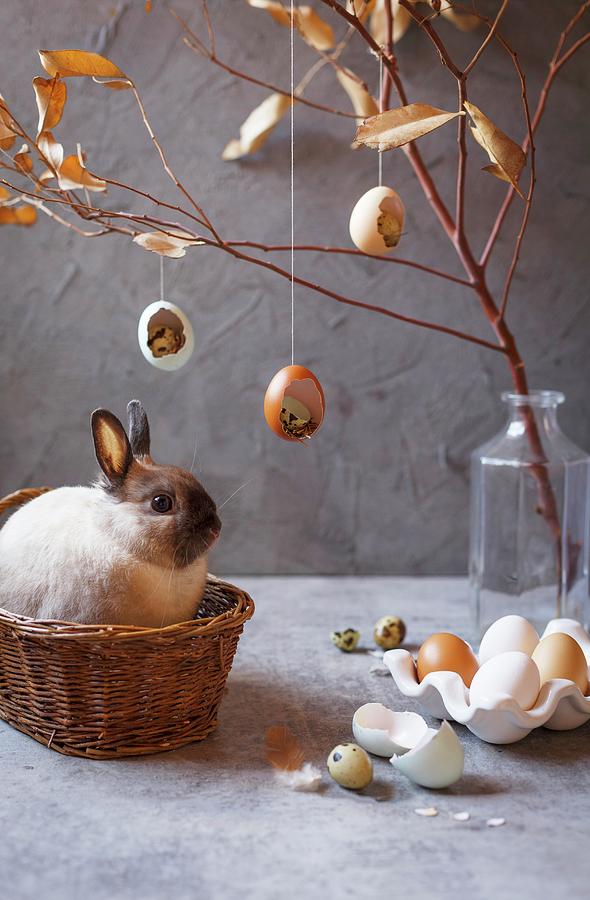 Easter Photograph - Live Bunny In Basket Surrounded By Easter Decorations by Great Stock!
