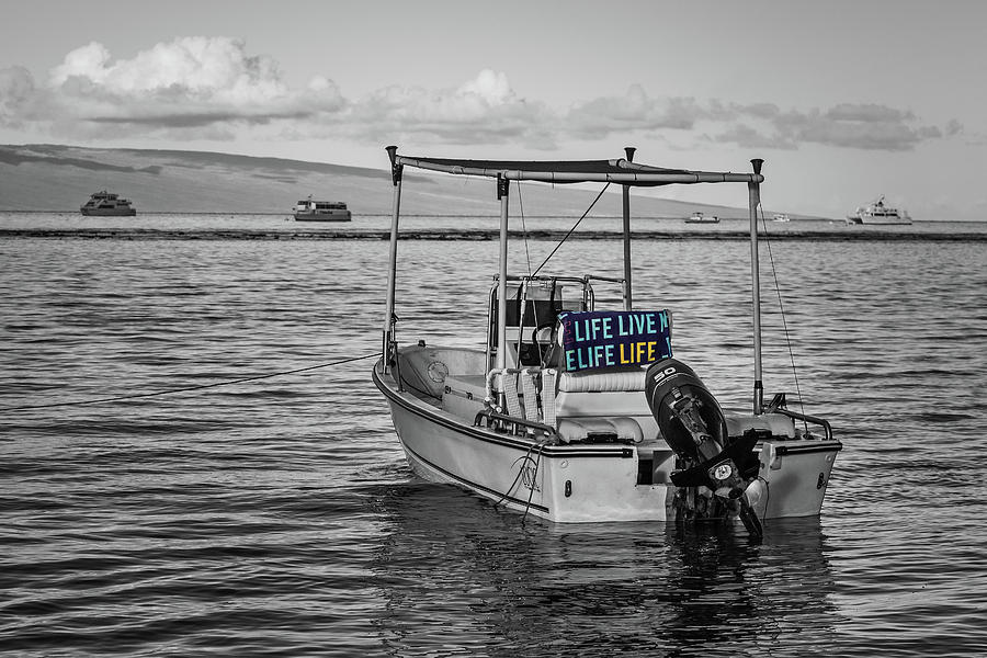 Live Life by Ann Skelton Live Life by Ann Skelton